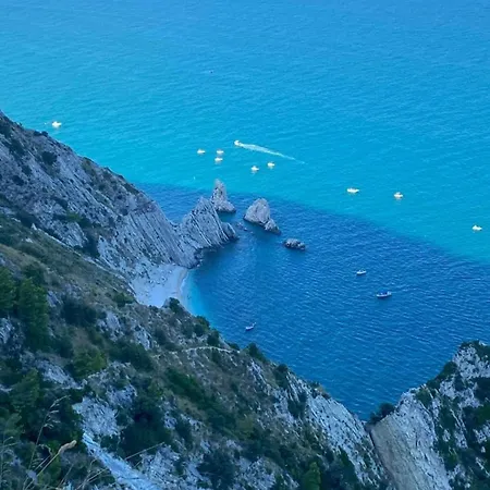 Zelinda Πανσιόν 4*