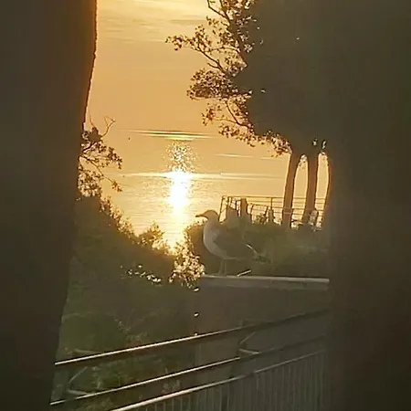 Zelinda Πανσιόν 4*