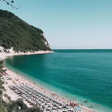 Zelinda 锡罗洛